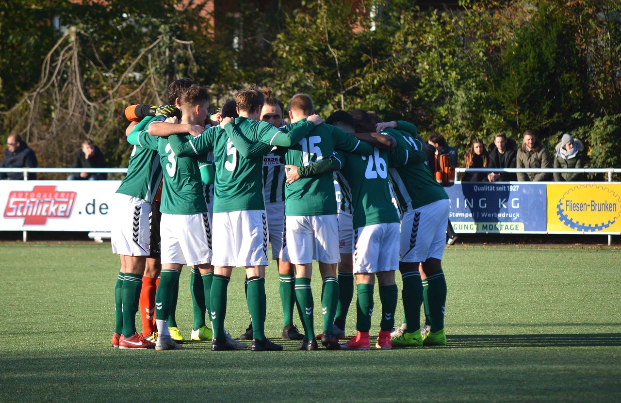 沃派星燃卡实名账号：猫咪详情下载教程app详情下载教程破解