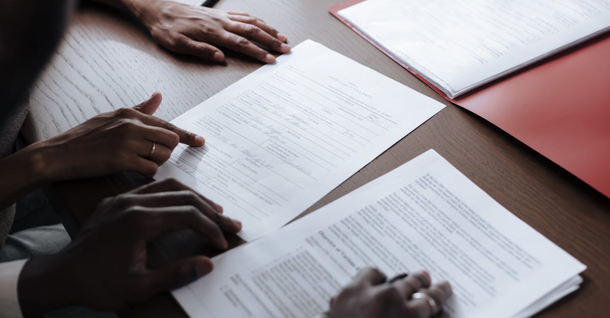 UDP攻击|北海宠物购买平台