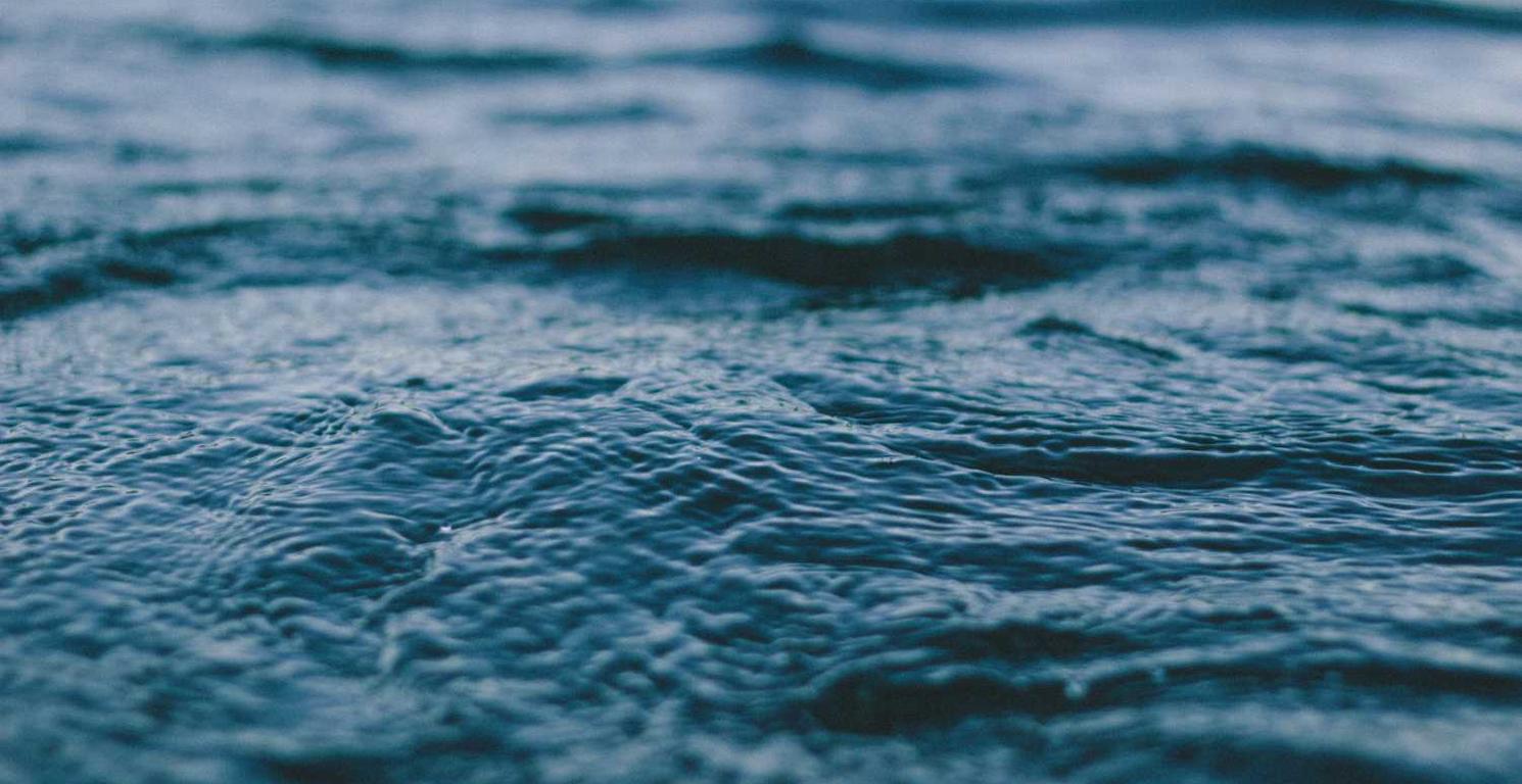 滴滴实名账号：外汇代理加盟平台