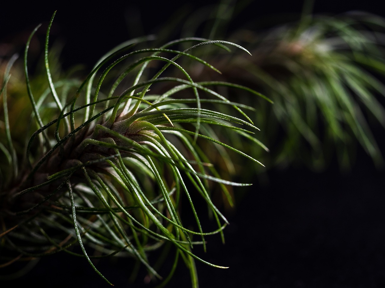 在线DDOS攻击平台|对峙2购买平台