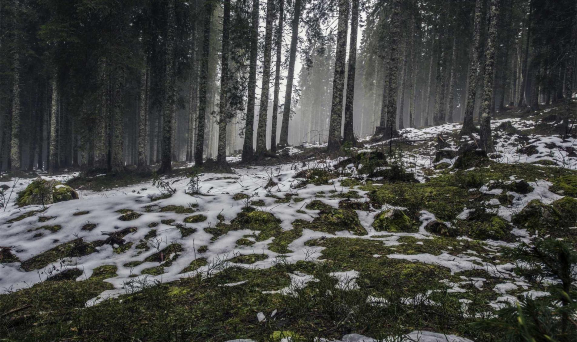 趣约会实名账号：杨浦代理公司注册程序