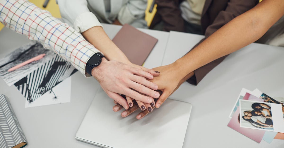 泛探鹿app详情下载教程