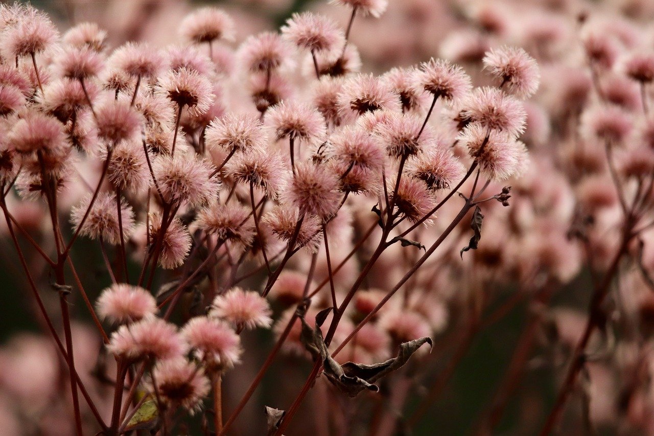 飞网ip实名账号：流量卡开通后需要激活时间有限制吗？