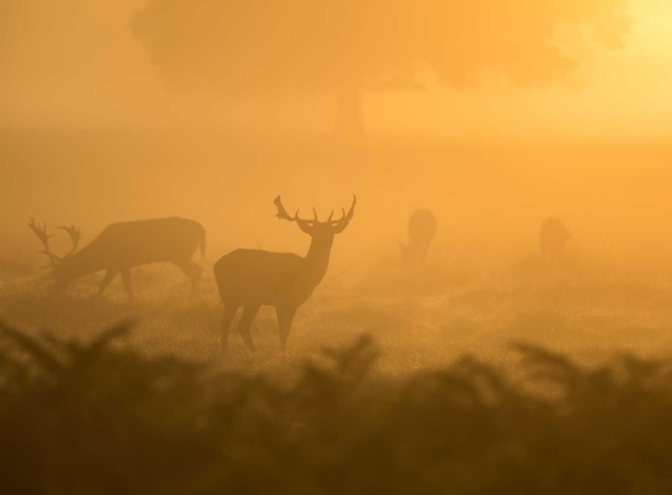 爱用云实名账号：拳头里面怎么注册账号啊